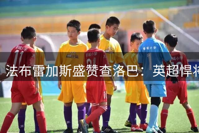 法布雷加斯盛赞查洛巴：英超悍将将成科莫后防核心