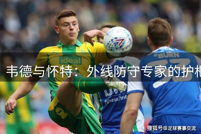 韦德与怀特：外线防守专家的护框表现探讨